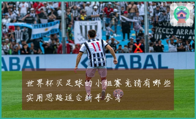 世界杯买足球的小组赛竞猜有哪些实用思路适合新手参考
